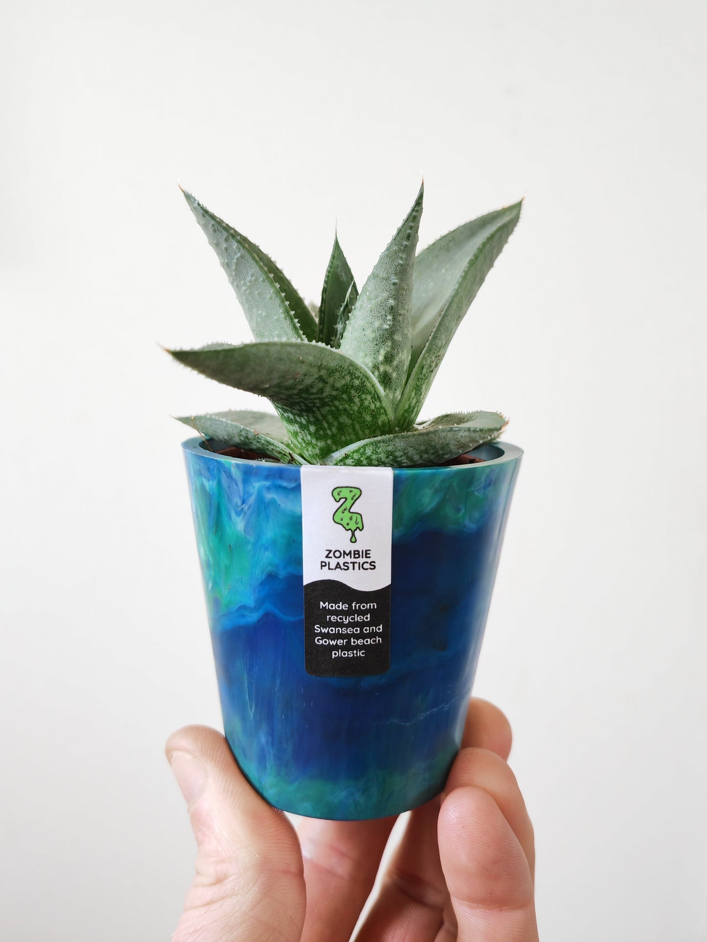 Small Plant Pot